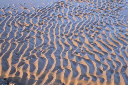 sand ripple tide