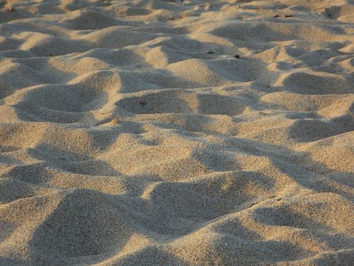 sand beach background