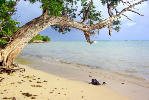 sand beach guadeloupe