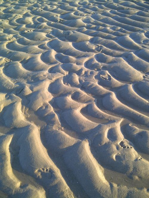sand sand games beach