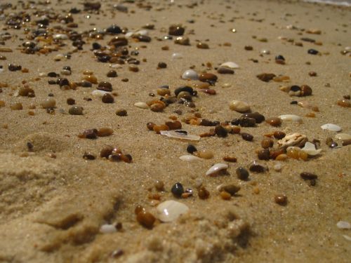 sand beach stones
