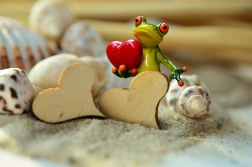 sand heart frog