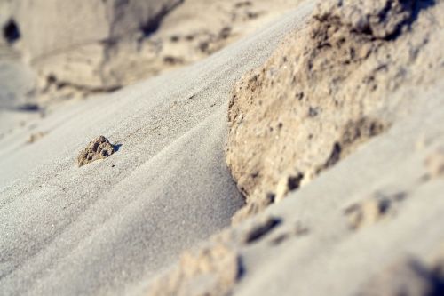 sand background desert