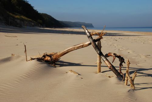 sand beach nature