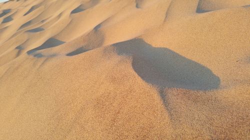 sand beach ocean