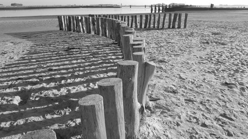 sand beach beach poles
