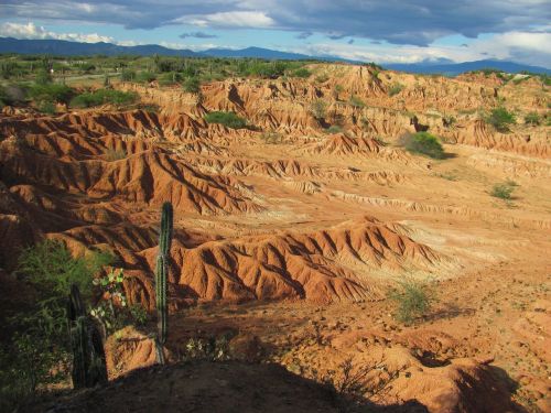 sand desert arid