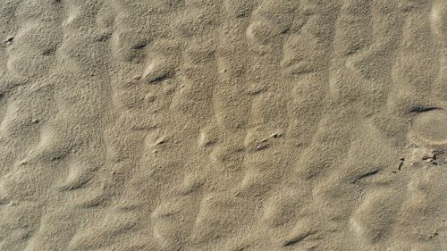 sand beach background