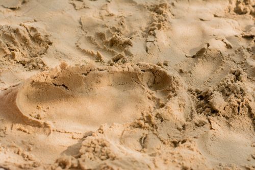 sand footprint traces