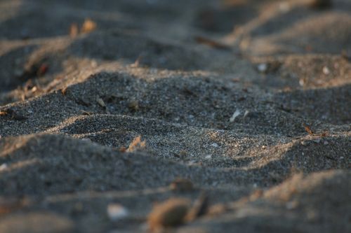 sand macro dune