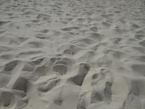 sand beach north