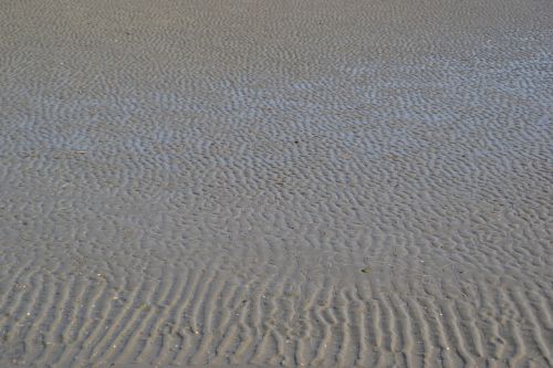 sand ripple sea
