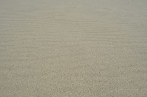 sand waves wind