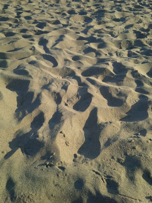 sand shadows nature