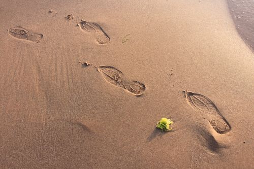 sand beach footprint