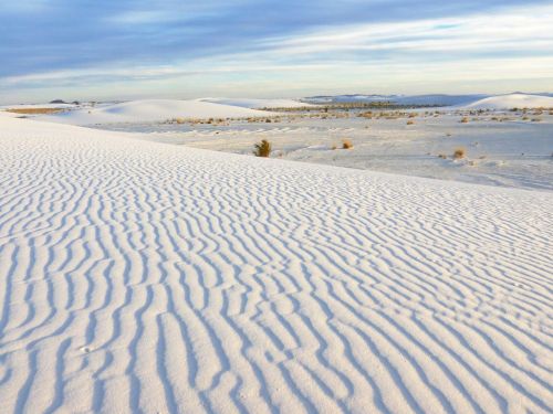 sand white scenic