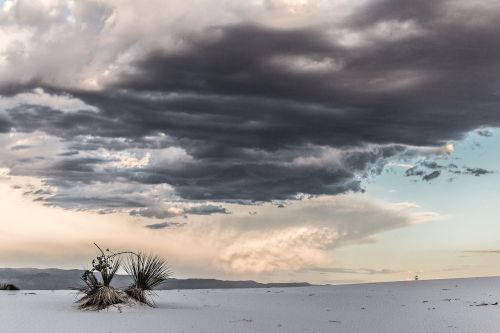 sand white scenic