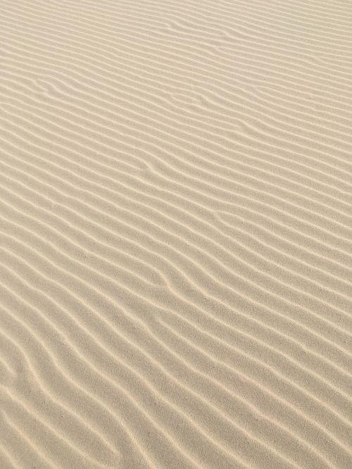 sand sand lines beach
