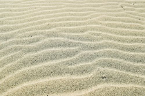 sand waves beach