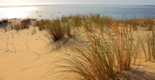 sand dune dune pyla you