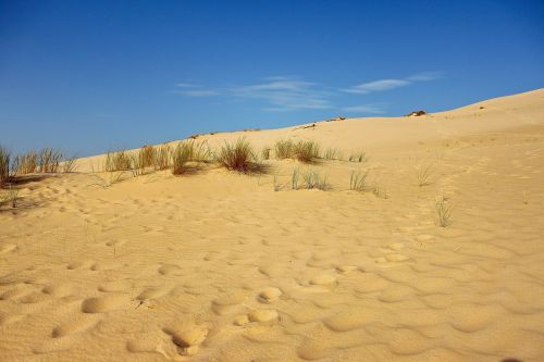 sand dune dune pyla you