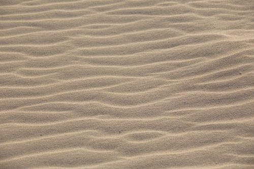 sand sand dune w