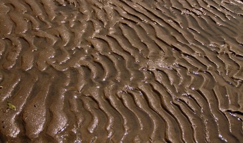 sand texture beach