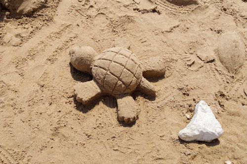 sand turtle holiday