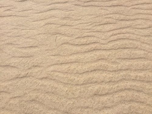 sand dunes sand color