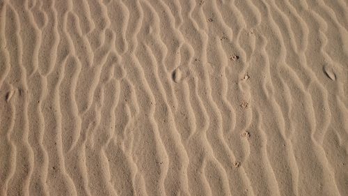 sand forms landscape