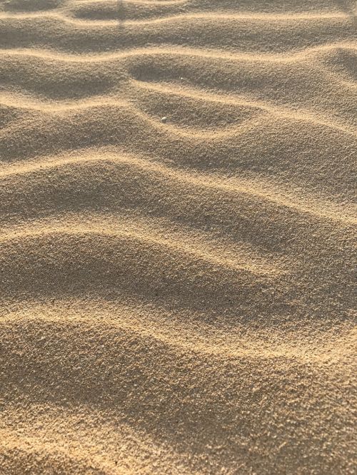 sand beach ripple