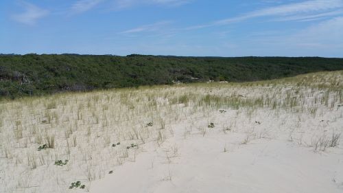 sand sky dune