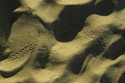 sand footprint beach