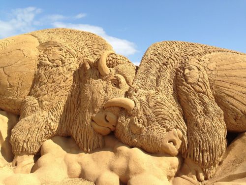 sand buffalo sculpture