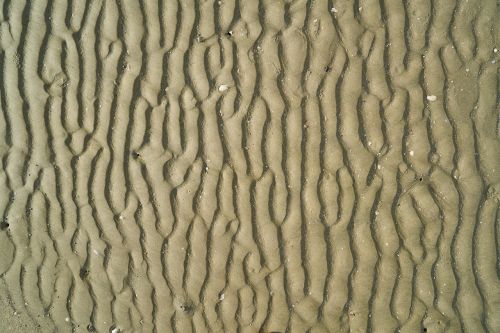 sand beach texture
