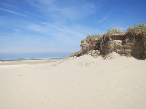 sand dune beach
