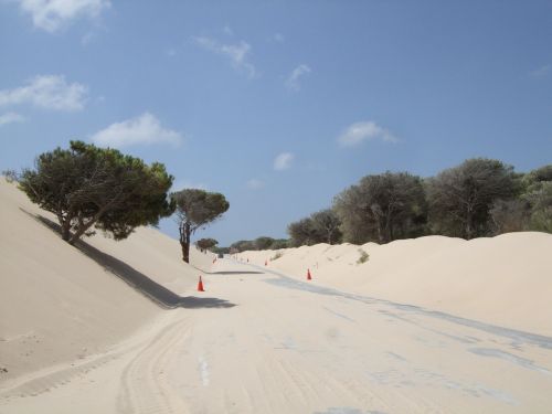 sand road nature