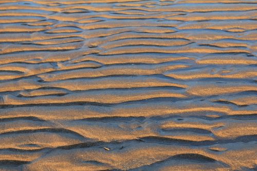 sand ripples lines