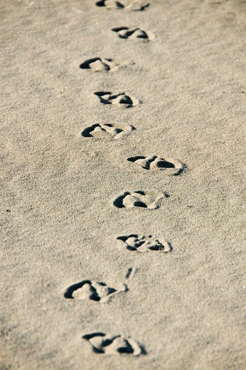 sand beach footprints