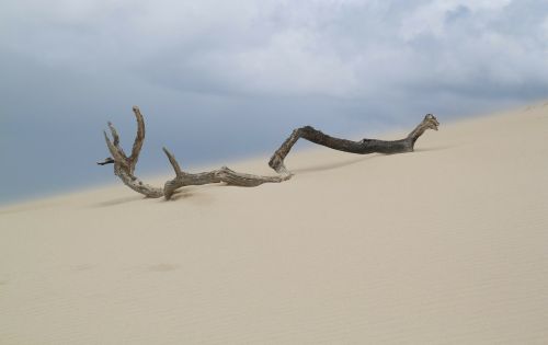 sand desert beach