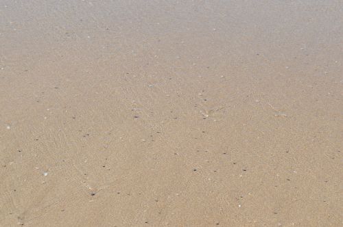 sand beach sandy beach