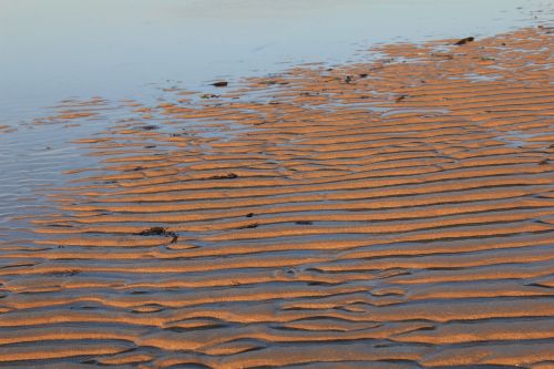 sand ripples lines