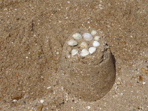 sand shells sand castle