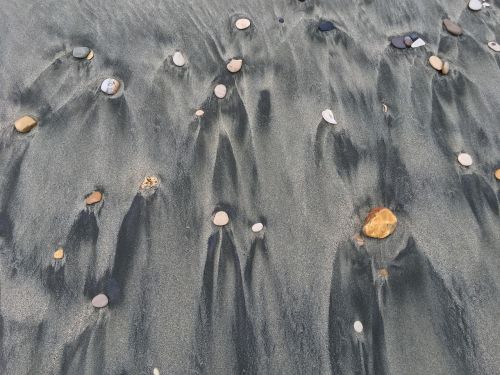 sand gray shells
