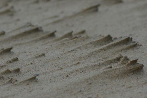 sand beach background