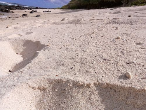 sand beach beach sand