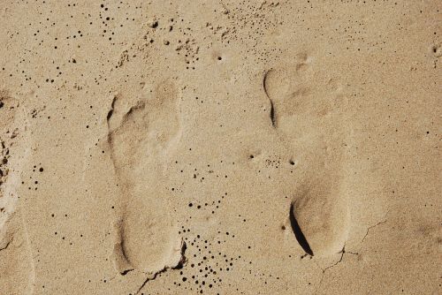 sand beach footprint