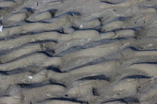 sand beach sea