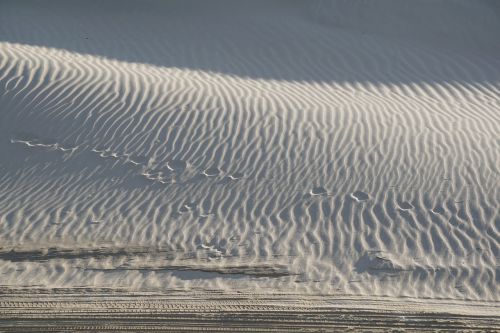 sand stripe beach