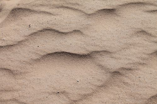 sand beach dune